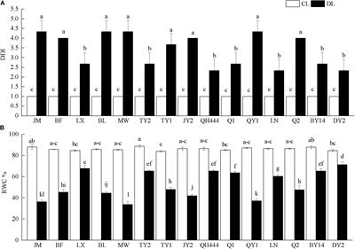 Important Physiological Changes Due to Drought Stress on Oat